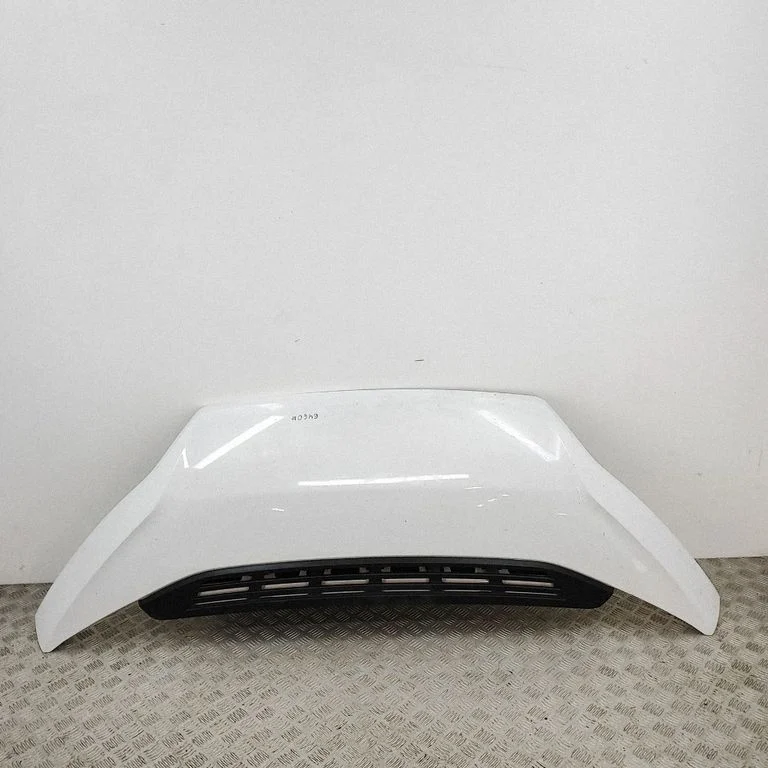 Motora pārsegs 1612246980