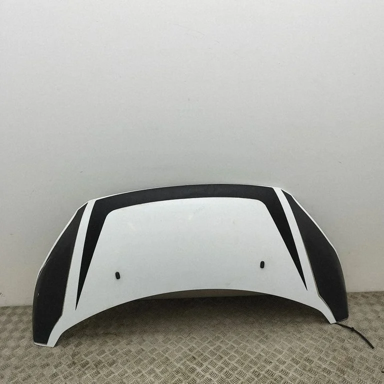 Engine bonnet/hood PBK21A16612AD