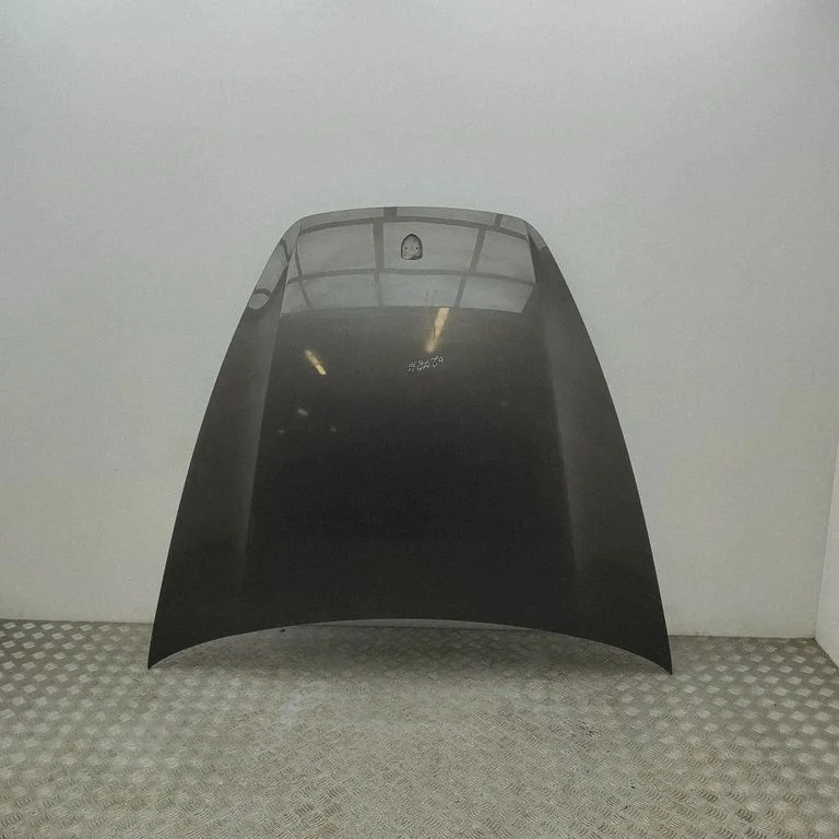 Engine bonnet/hood 95851101102
