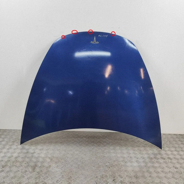 Engine bonnet/hood 1081390E0C