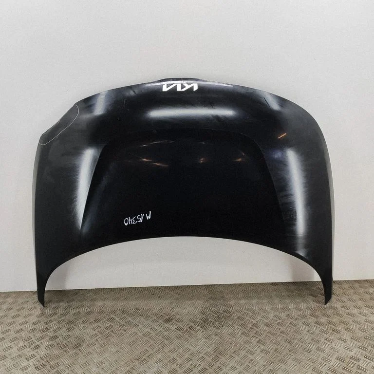 Motora pārsegs 66400K0300