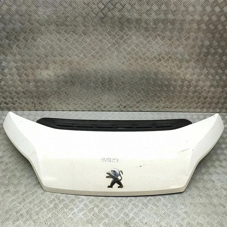 Motora pārsegs 1612246980
