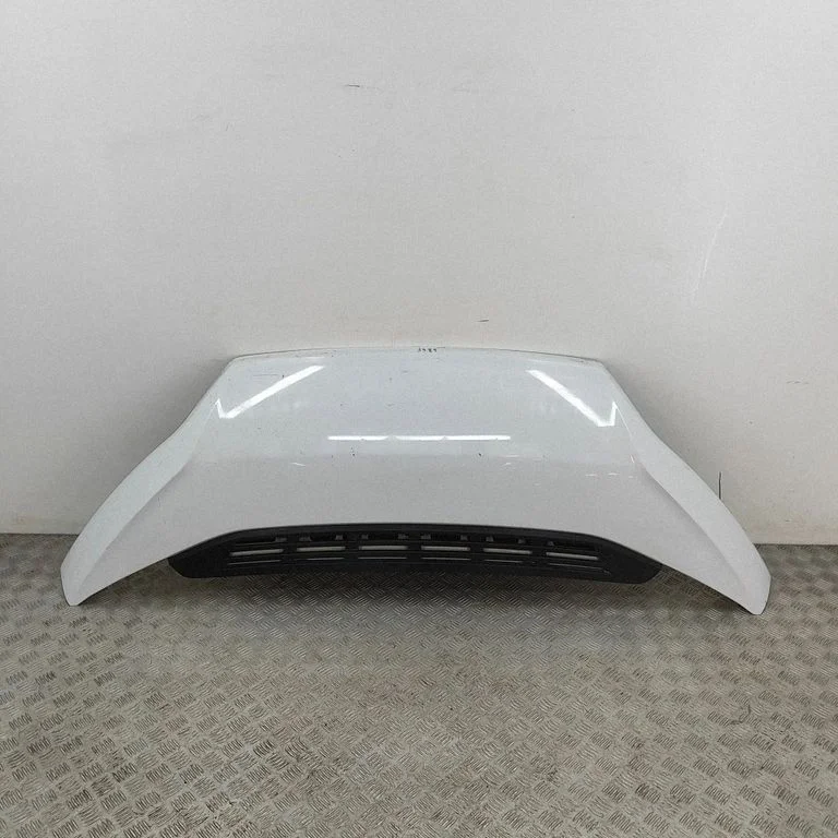 Motora pārsegs 1612246980