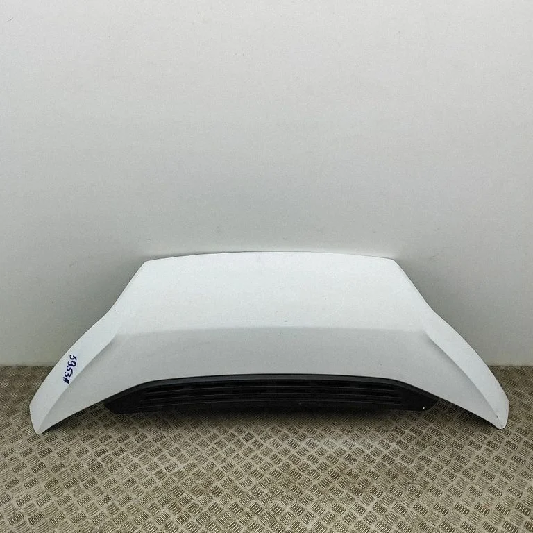 Motora pārsegs 1380670080
