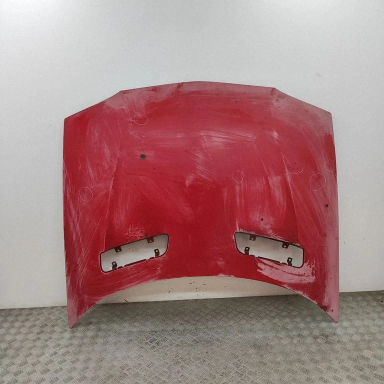 Motora pārsegs 10237181