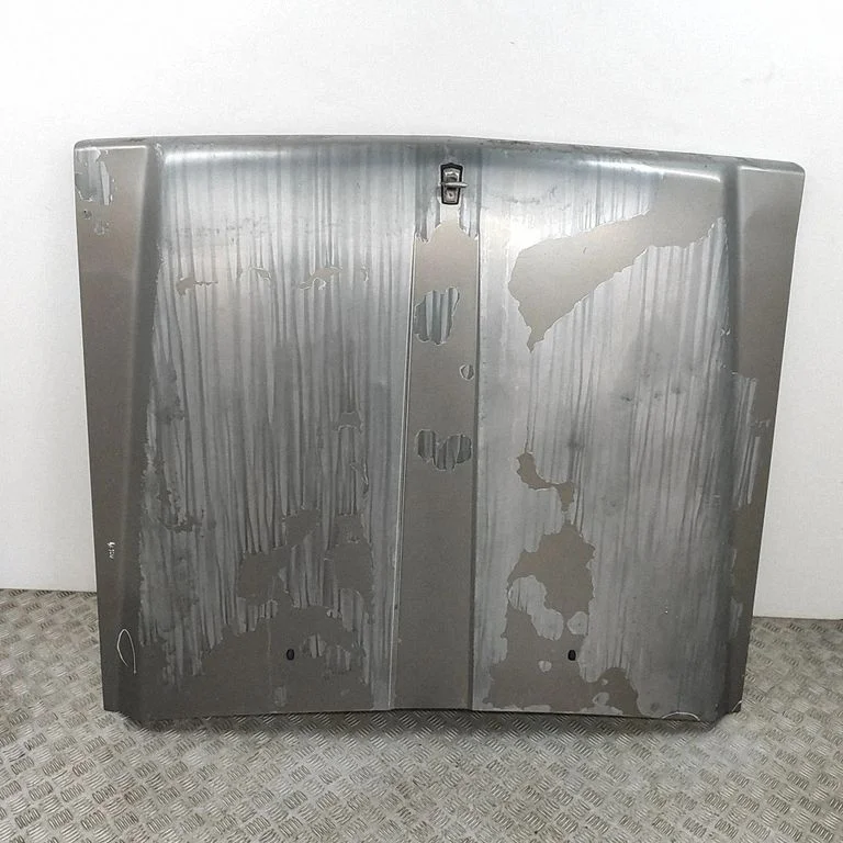 Engine bonnet/hood 65100C7601