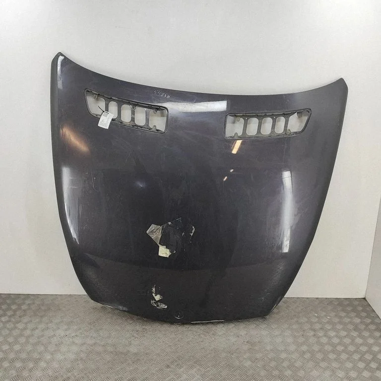 Engine bonnet/hood A216880015764