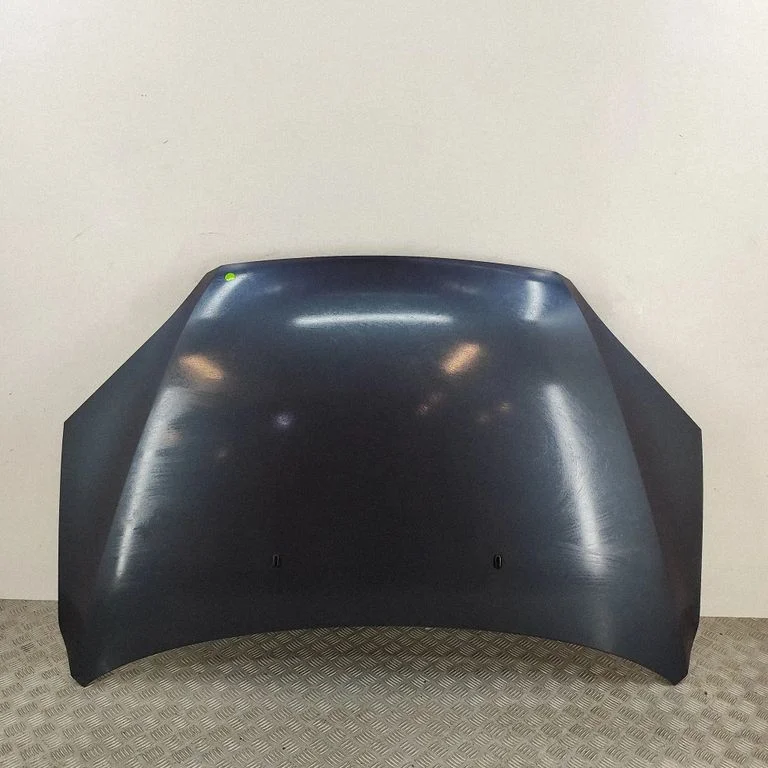 Engine bonnet/hood P4M51A16610AL
