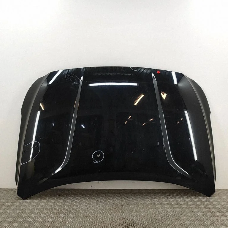 Motora pārsegs 66400S1000
