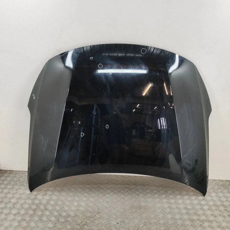 Motora pārsegs 66400D4000