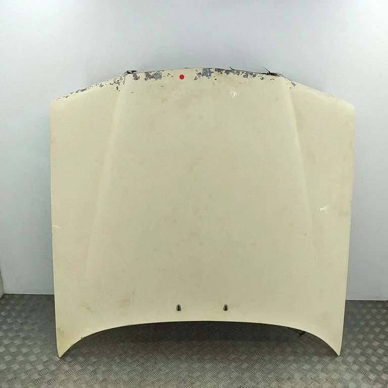 Mootorikapott A1268806457
