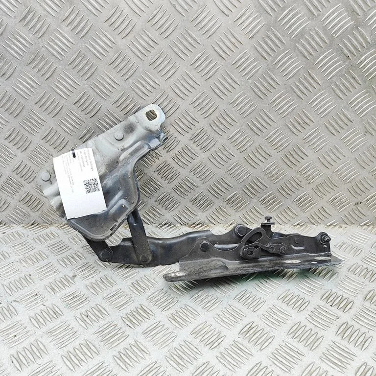 Motora pārsega eņģe (-es) GX7316800AE