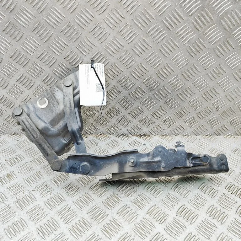 Motora pārsega eņģe (-es) GX7316801AE