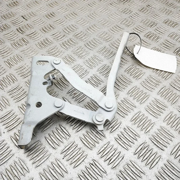 Zawiasy maski 66910R2000