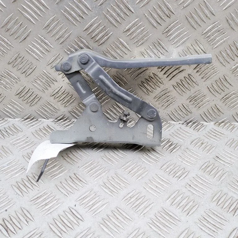 Engine bonnet/hood hinges 66920P1000