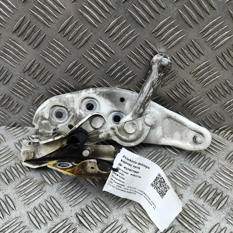 Motora pārsega eņģe (-es) 3W0823302J