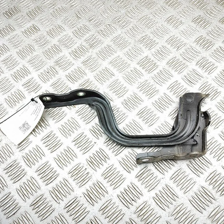 Motora pārsega eņģe (-es) 79120G5000