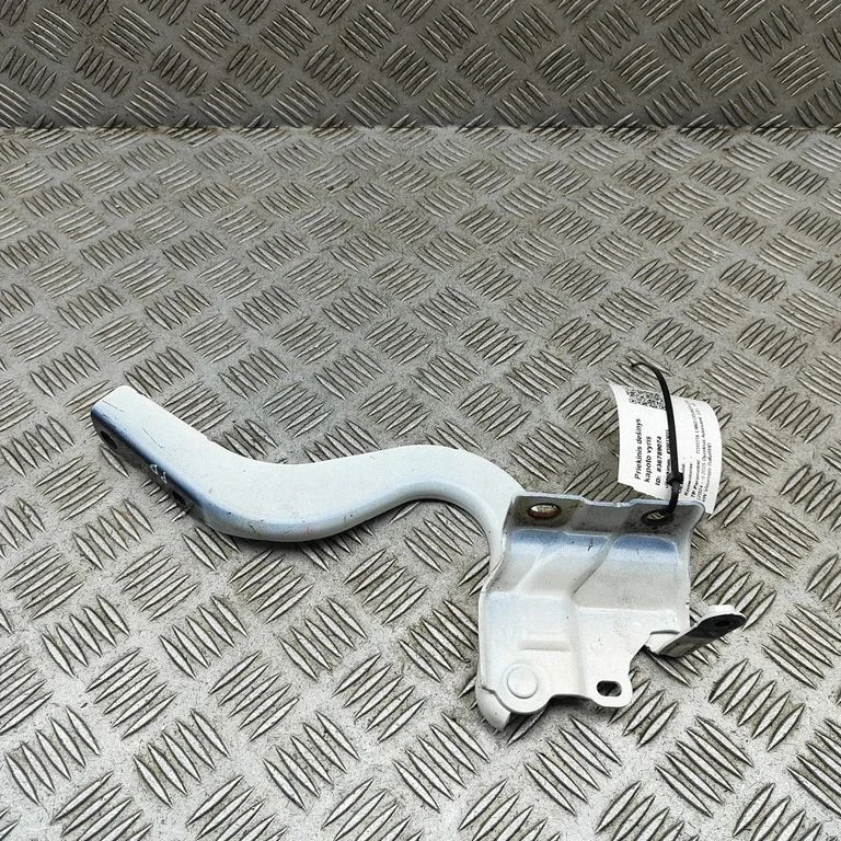 Motora pārsega eņģe (-es) 5341060270