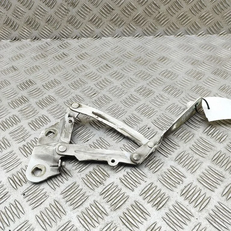 Motora pārsega eņģe (-es) BK2116800AD