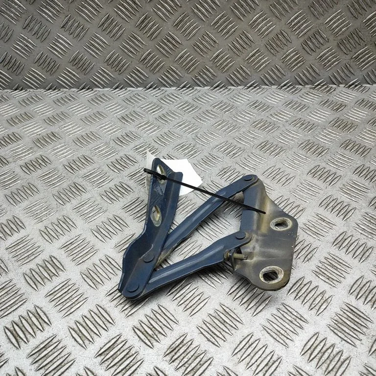 Motora pārsega eņģe (-es) KK3116801AB