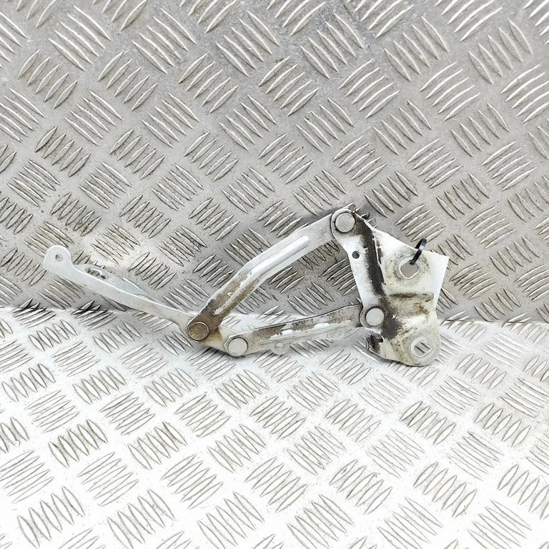 Motora pārsega eņģe (-es) BK2116800AD