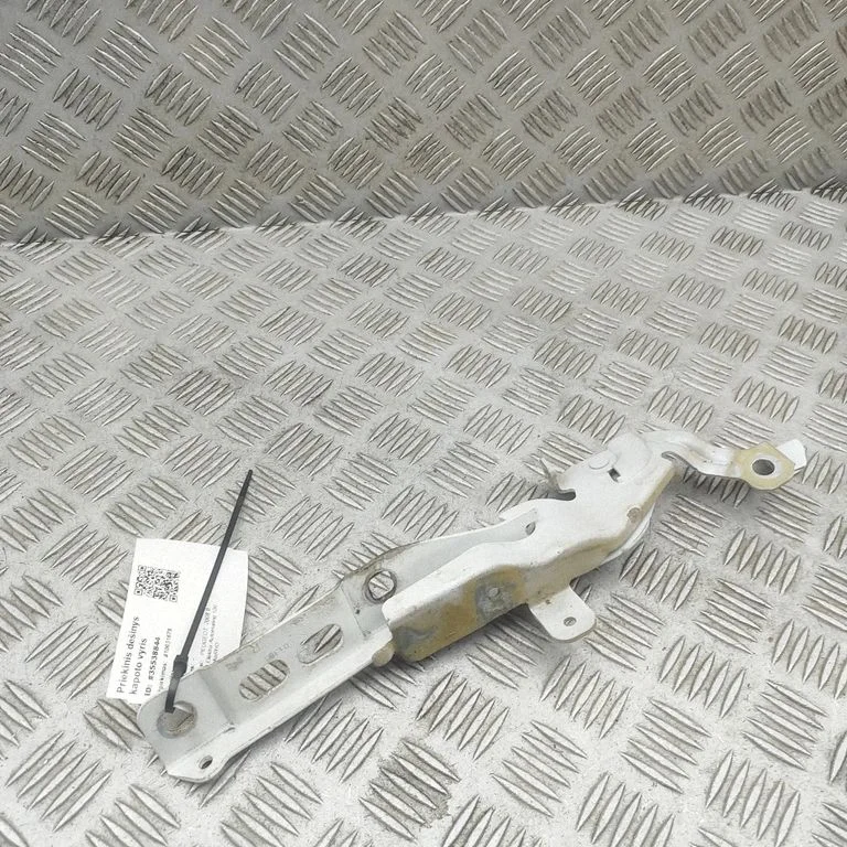 Engine bonnet/hood hinges 9839901380
