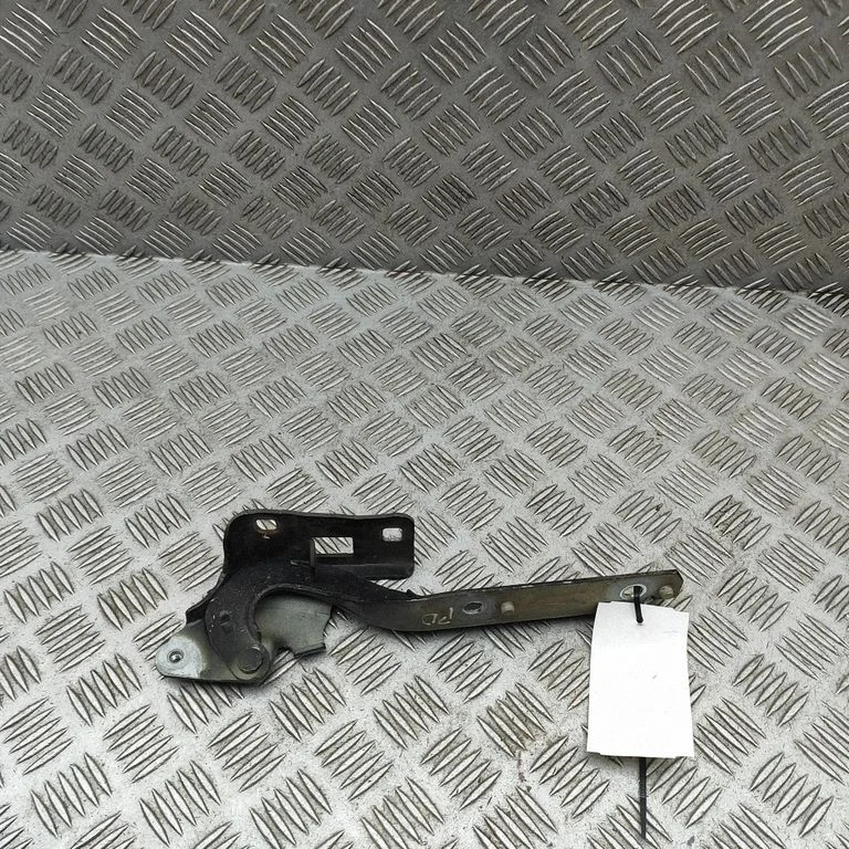 Motora pārsega eņģe (-es) 9676670280D