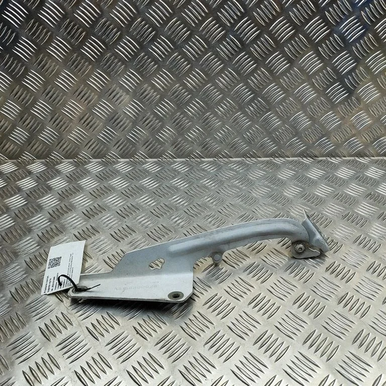 Engine bonnet/hood hinges A4158800028