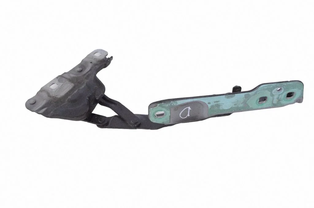 Motora pārsega eņģe (-es) GX7316800AE