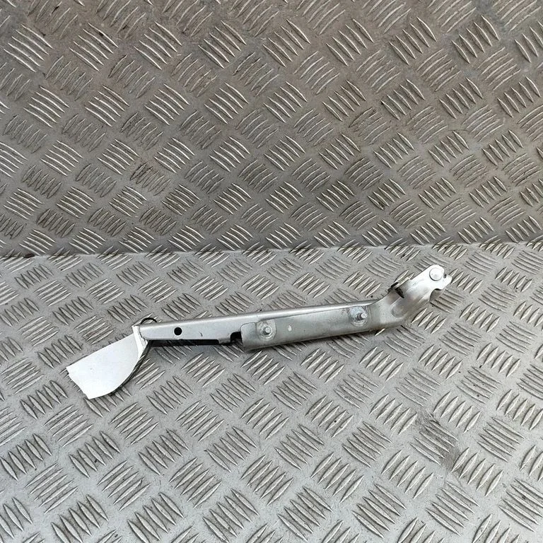 Motora pārsega eņģe (-es) 55360897AB
