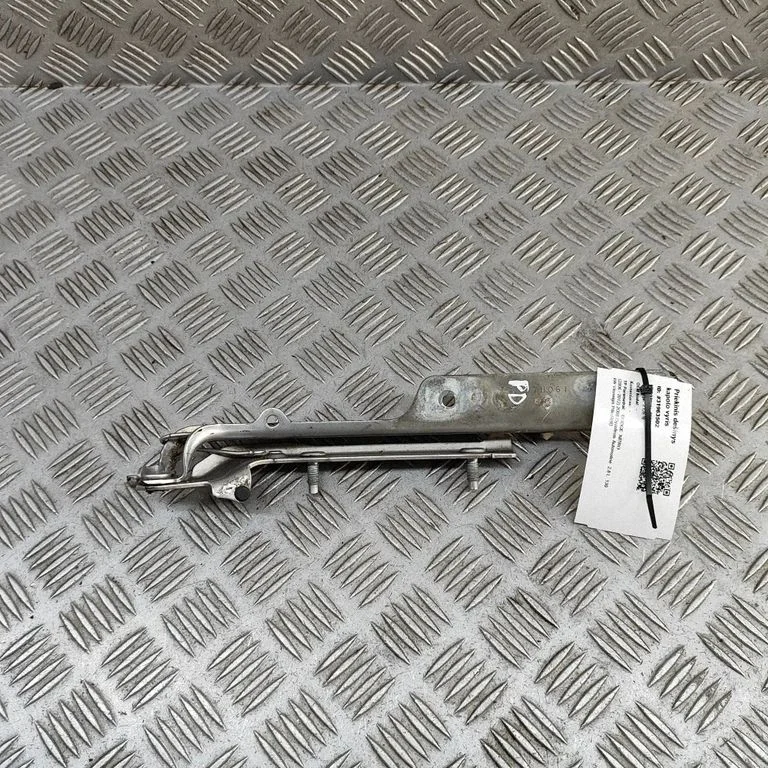 Motora pārsega eņģe (-es) 55360896AB
