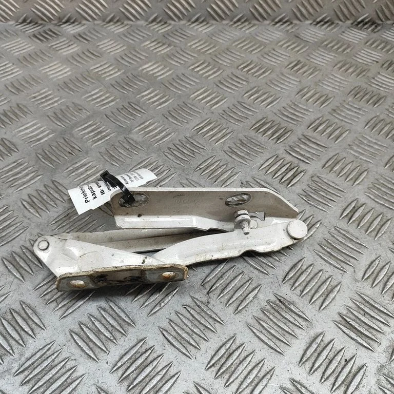 Motora pārsega eņģe (-es) A9067500121