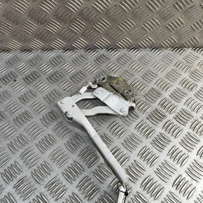 Motora pārsega eņģe (-es) 3AA823301
