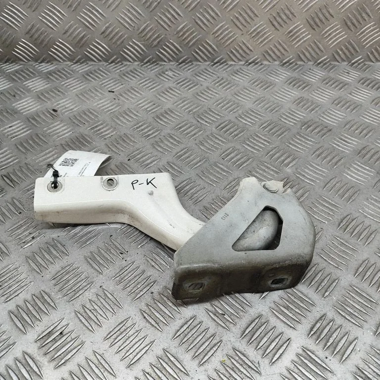 Engine bonnet/hood hinges 52035197