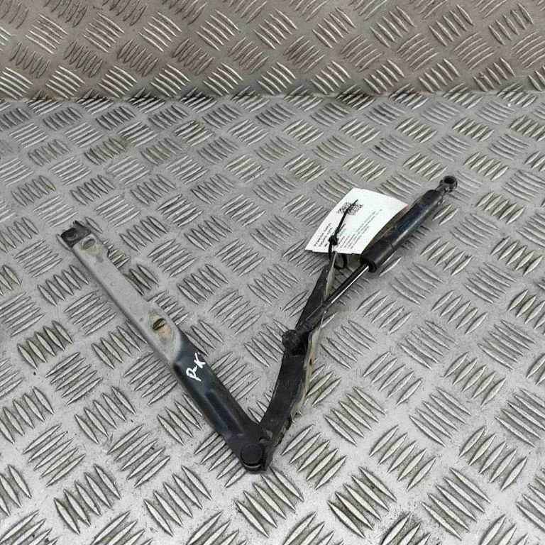 Motora pārsega eņģe (-es) 98699651115