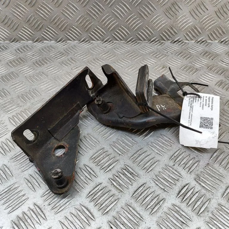 Motora pārsega eņģe (-es) 12523083