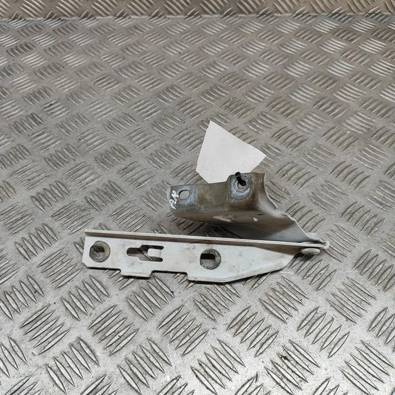 Motora pārsega eņģe (-es) 8T0823301E
