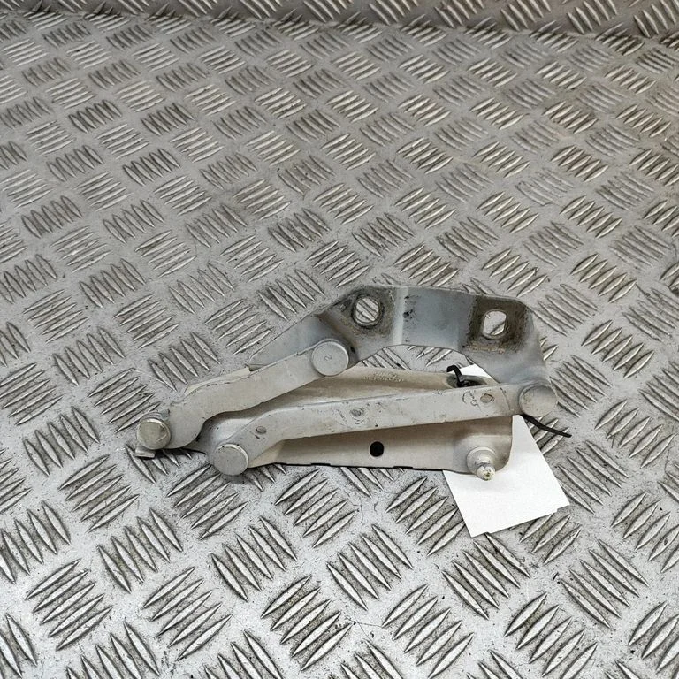 Motora pārsega eņģe (-es) 6H5216800AC