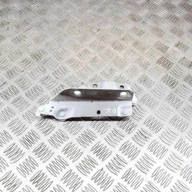 Motora pārsega eņģe (-es) GH5216801AC