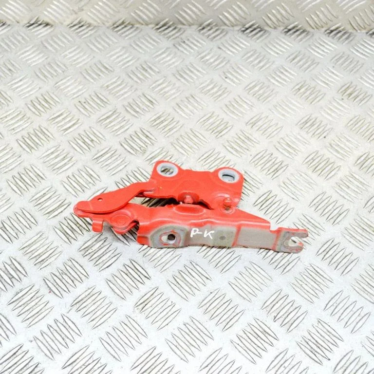 Motora pārsega eņģe (-es) 9801569