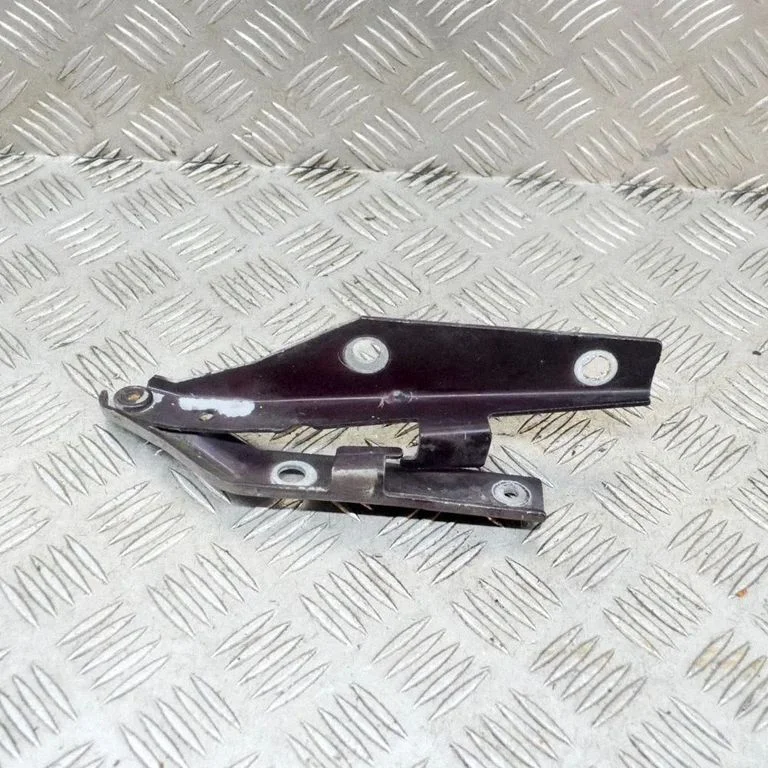 Motora pārsega eņģe (-es) 4450J