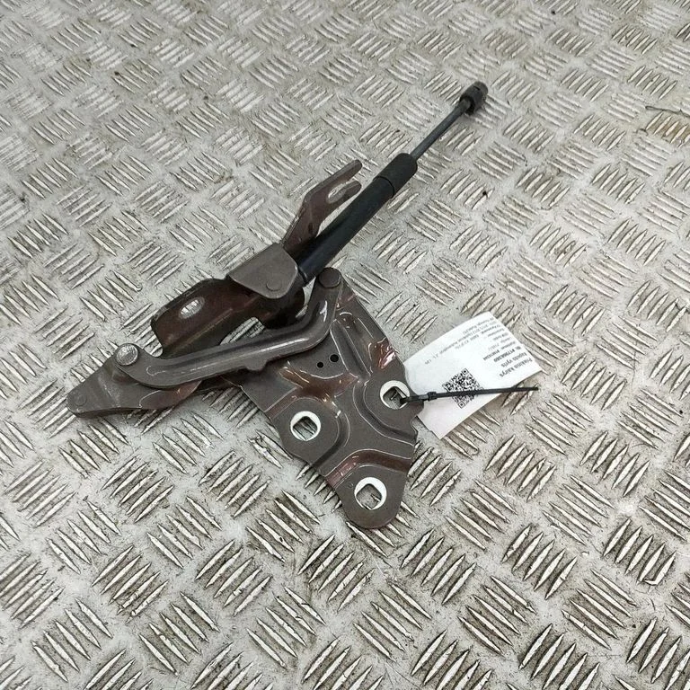 Motora pārsega eņģe (-es) 7210729