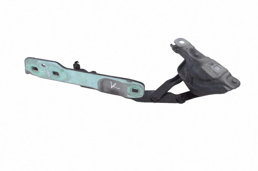 Motora pārsega eņģe (-es) GX7316801AE