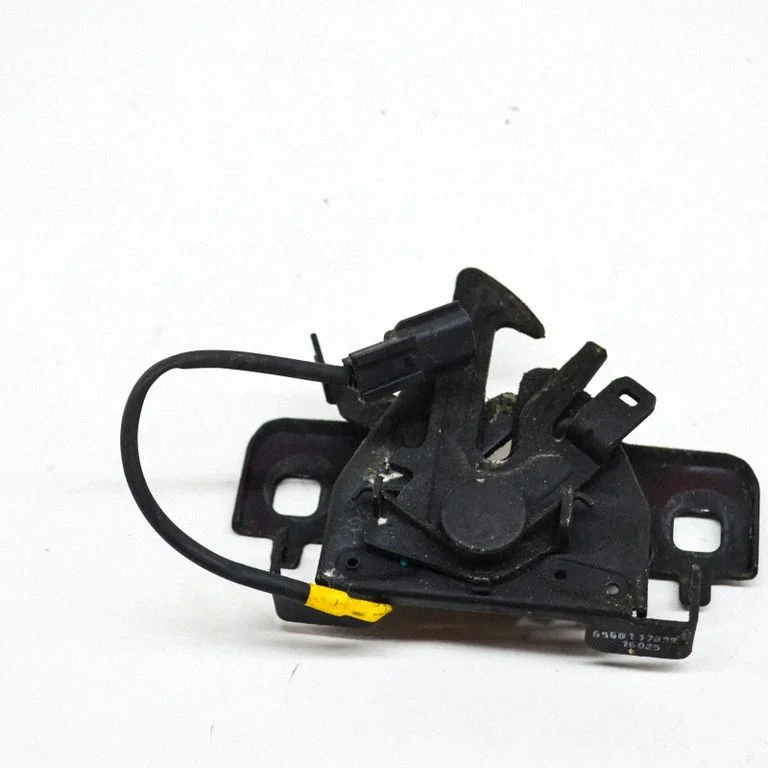 Motora pārsega slēdzene 656011705R