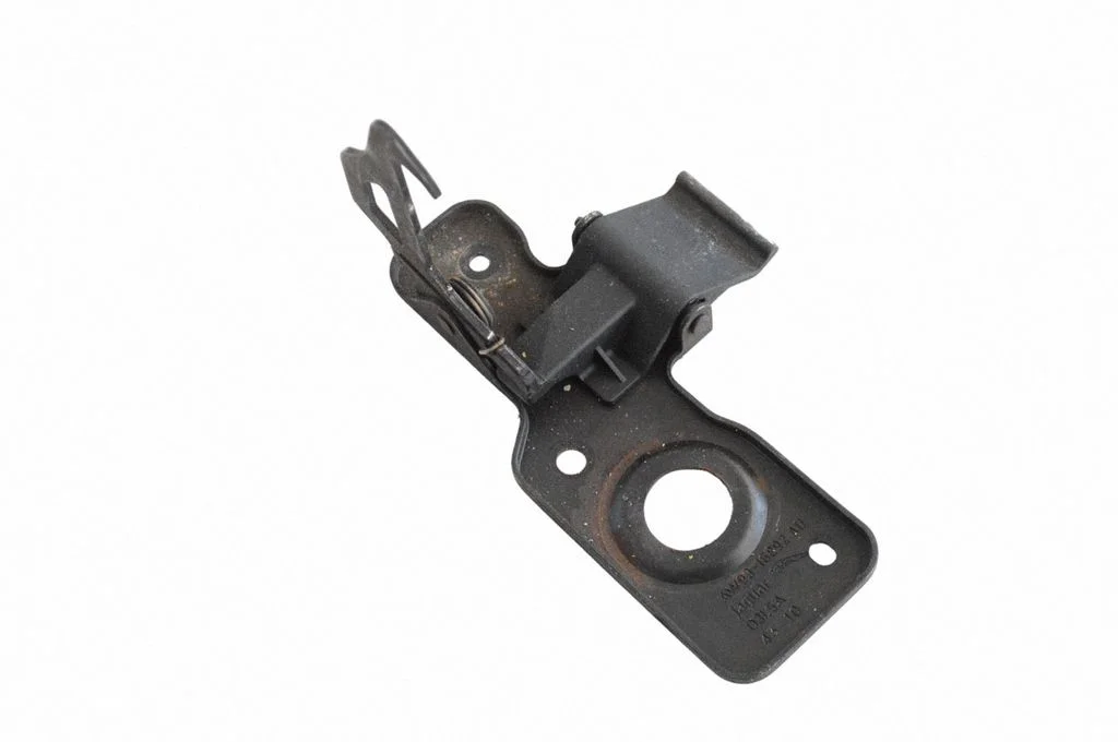Motora pārsega slēdzenes cilpa AW9316892AD