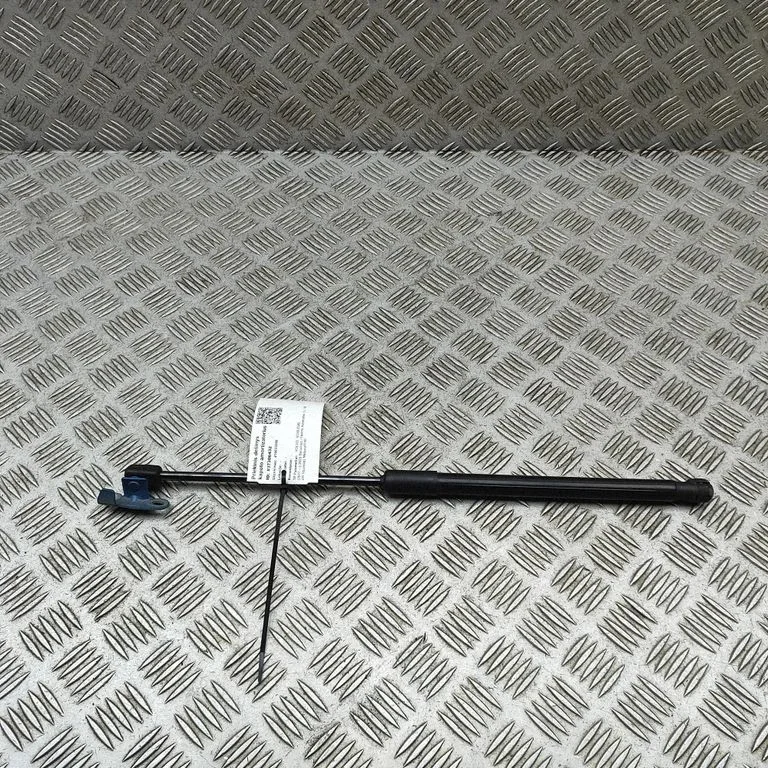Front bonnet/hood damper/strut