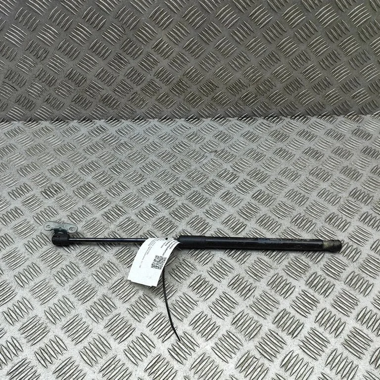 Front bonnet/hood damper/strut