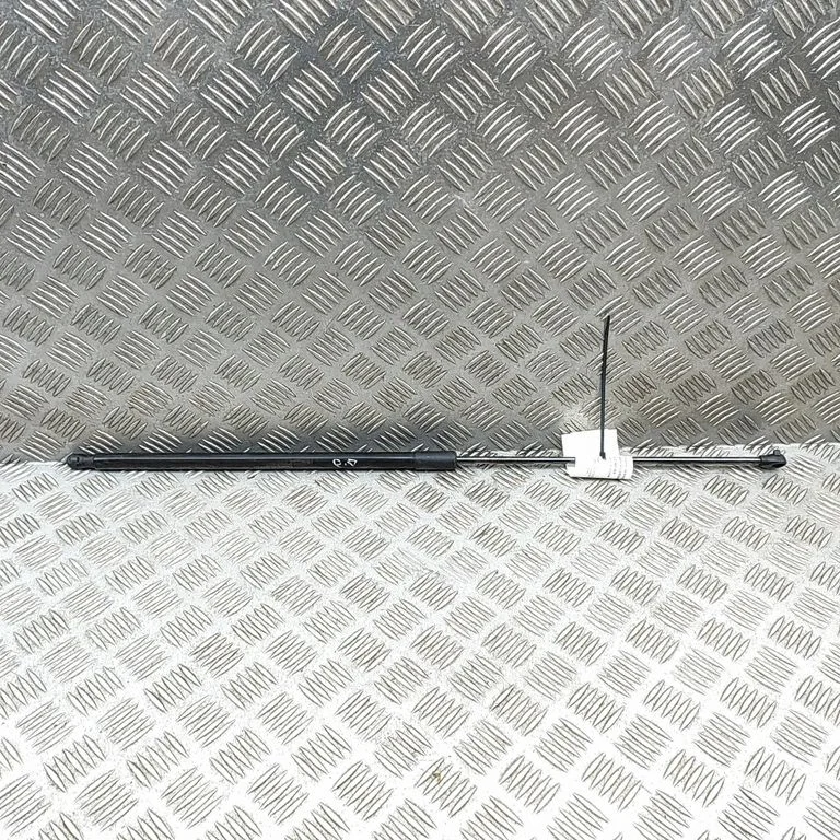 Siłownik maski A2479800000