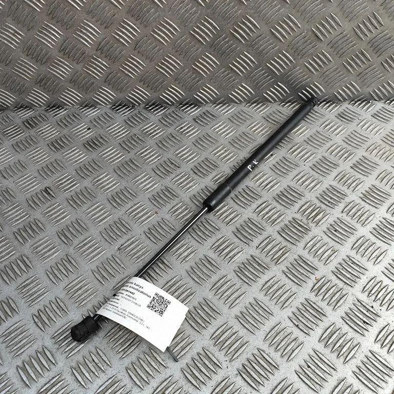 Motora pārsega amortizators EB3B16C827AA