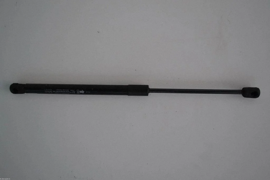 Front bonnet/hood damper/strut